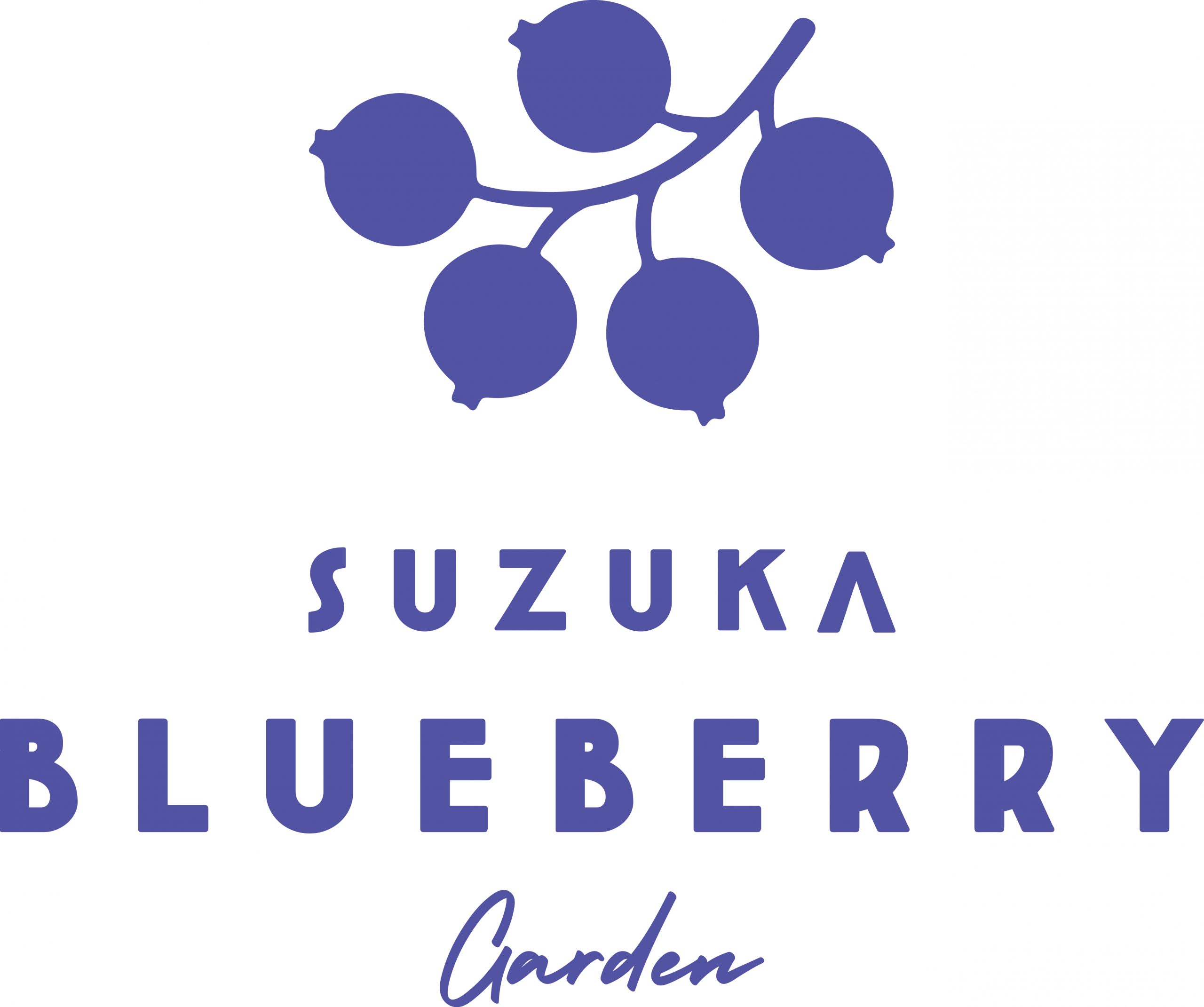 suzuka-berry.com